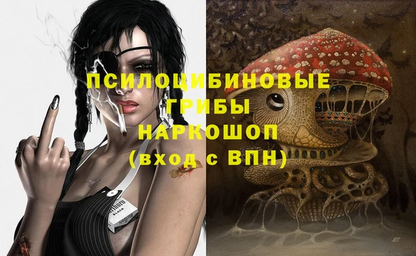ПСИЛОЦИБИНОВЫЕ ГРИБЫ Дмитров