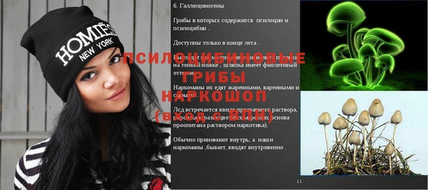 каннабис Гусиноозёрск