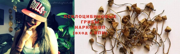 ПСИЛОЦИБИНОВЫЕ ГРИБЫ Дмитров