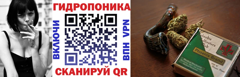 Канабис MAZAR  Ува 